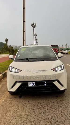 BYD Seagull 2024 White