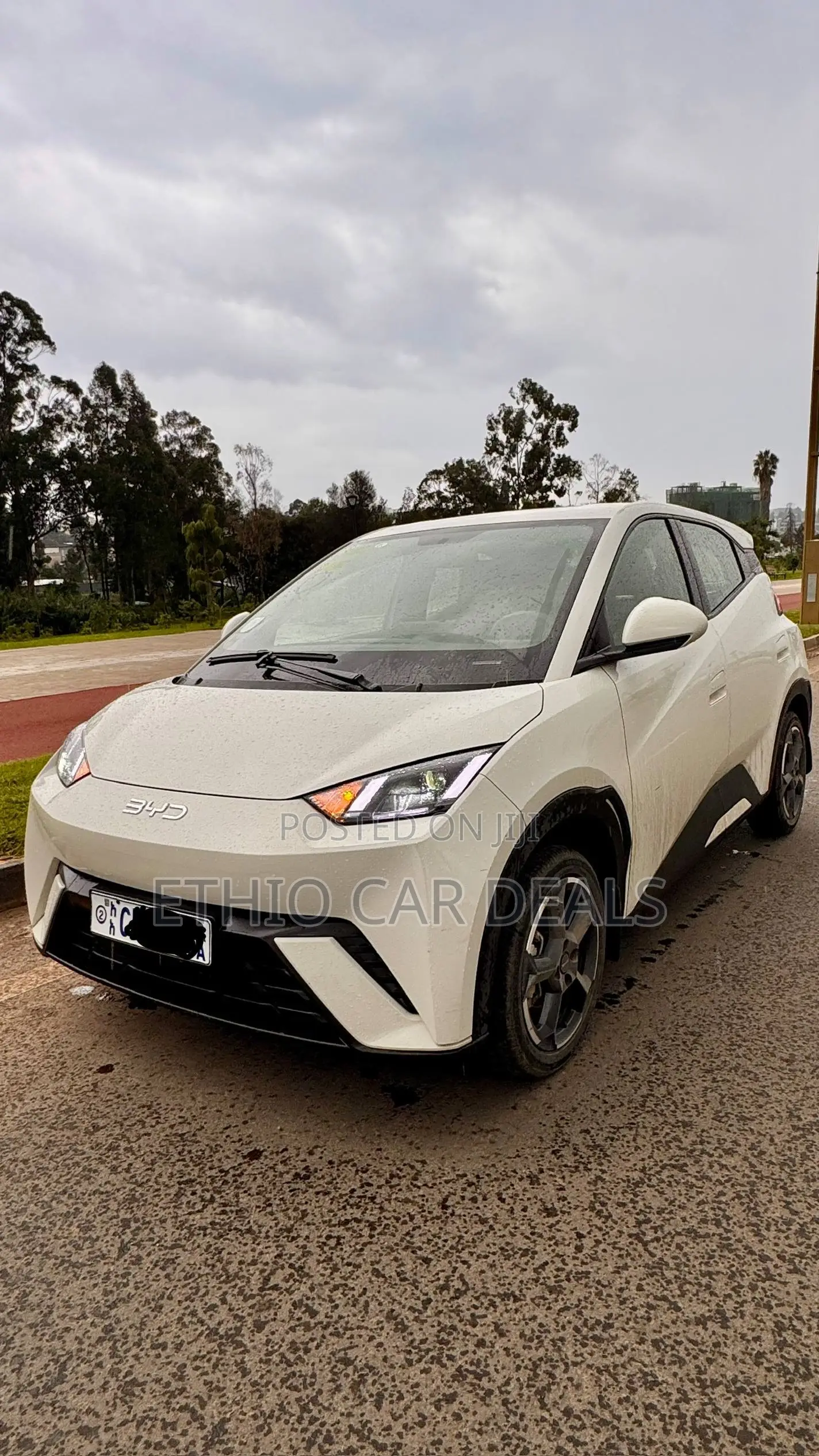 BYD Seagull 2024 White