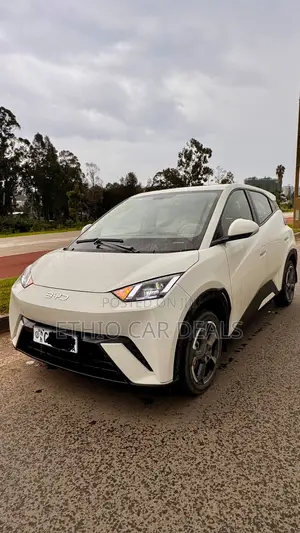 BYD Seagull 2024 White