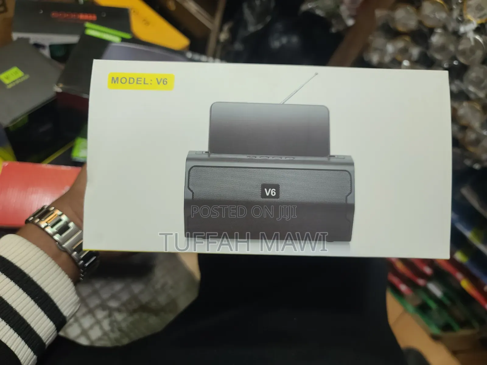 V6 Speaker