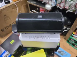 V6 Speaker