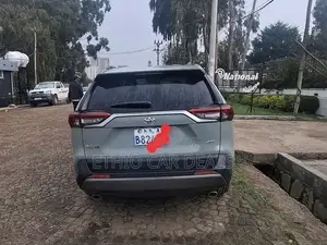 Toyota RAV4 2022 Green