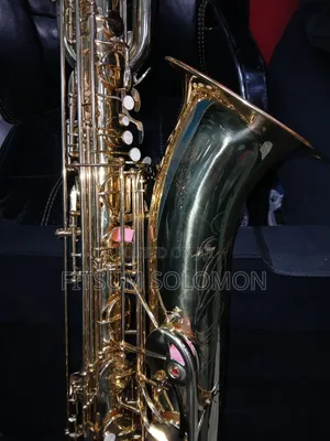 Professional Baritone Saxophone