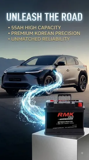55 Ah Bz4x Car Battery