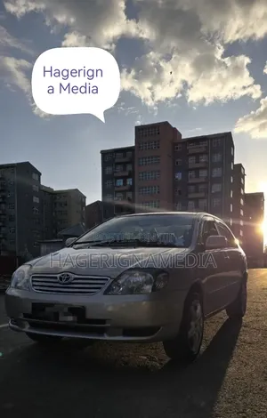 Toyota Corolla 2003 Silver