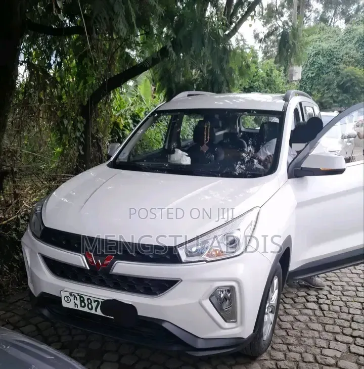 Wuling Hongguang S3 2023 White