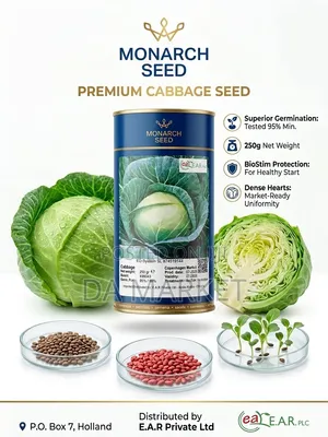 Monarch Seed Premium Cabbage Seed