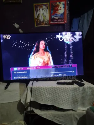 Television