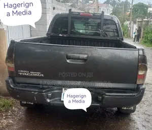 Toyota Tacoma 2008 Gray