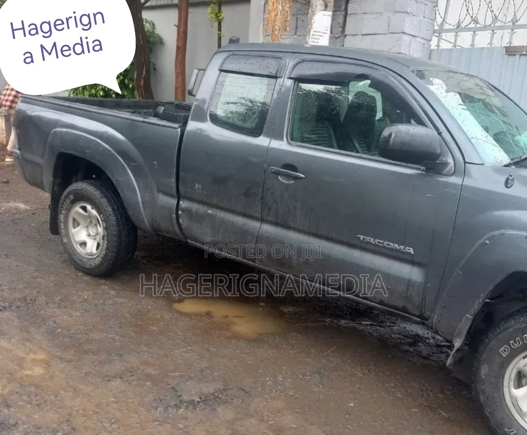 Toyota Tacoma 2008 Gray