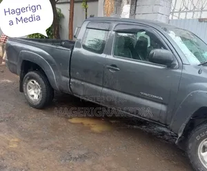 Toyota Tacoma 2008 Gray