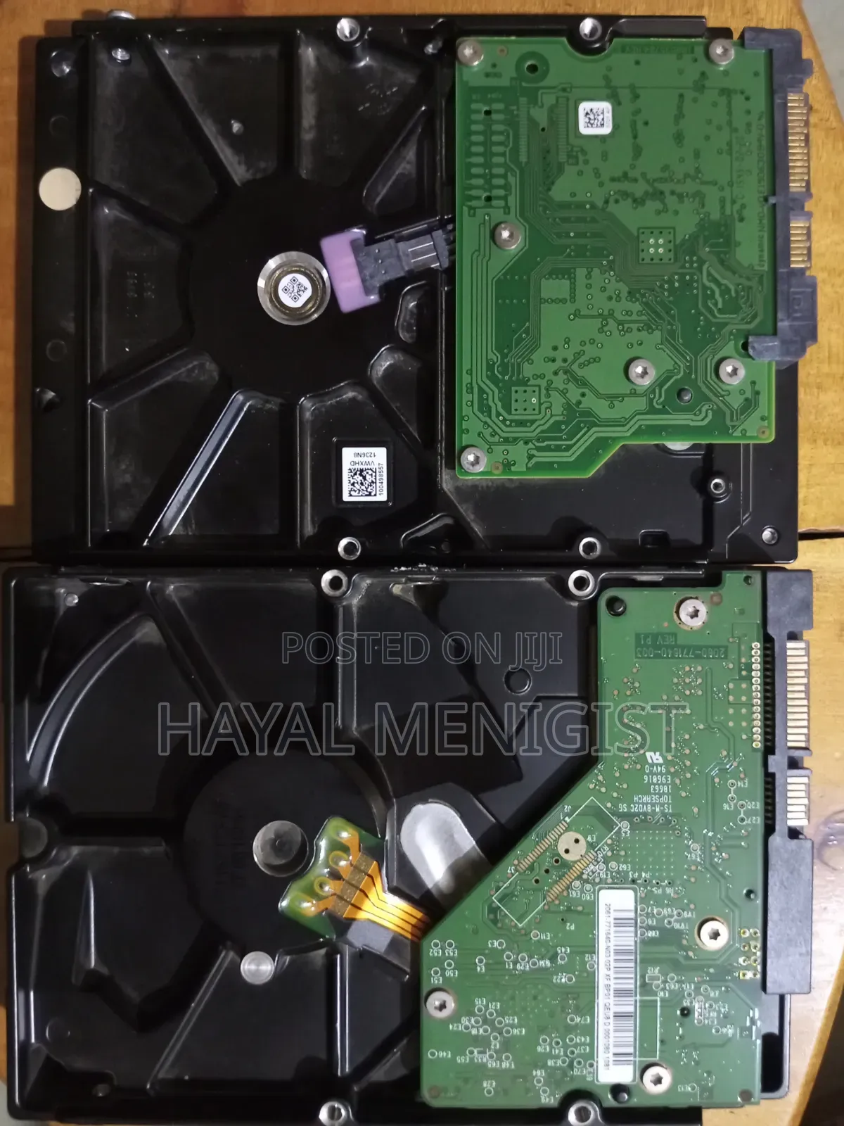 Seagate and Western Digital Hard Disk