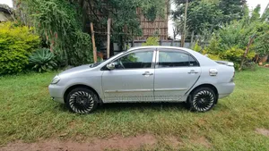 Toyota Corolla Sedan 2003 Silver