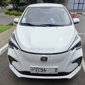 BYD Seagull 2023 White