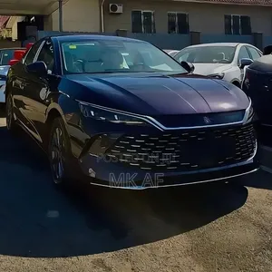 New BYD Qin L DM-i 2025 Purple