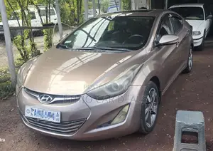 Hyundai Elantra 2014 Brown
