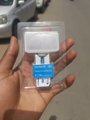 SanDisk Memory Stick PRO Duo Flash Memory Card With a 1.0 GB Capacity.