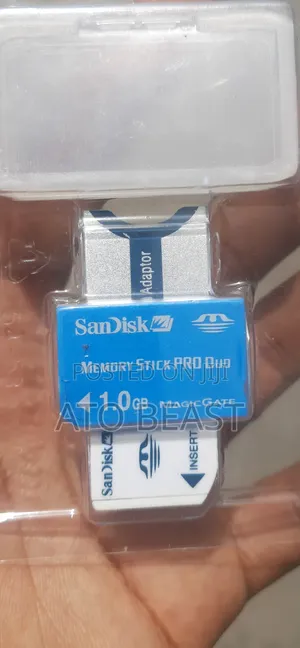 SanDisk Memory Stick PRO Duo Flash Memory Card With a 1.0 GB Capacity.