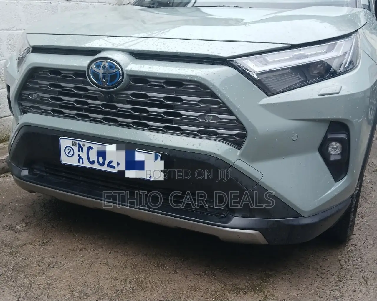 Toyota RAV4 2024 Green