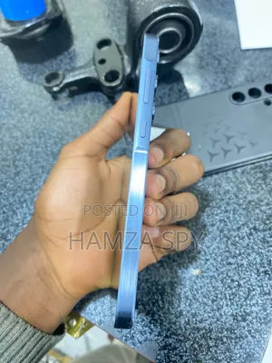 Samsung Galaxy A55 256 GB Blue