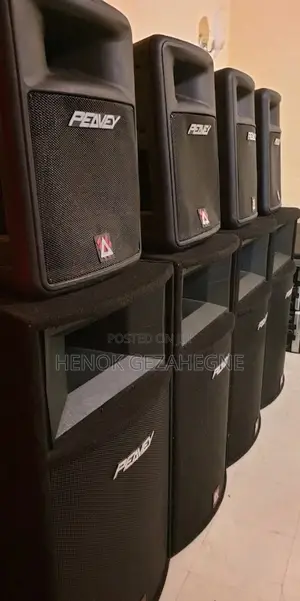 Peavey Speaker