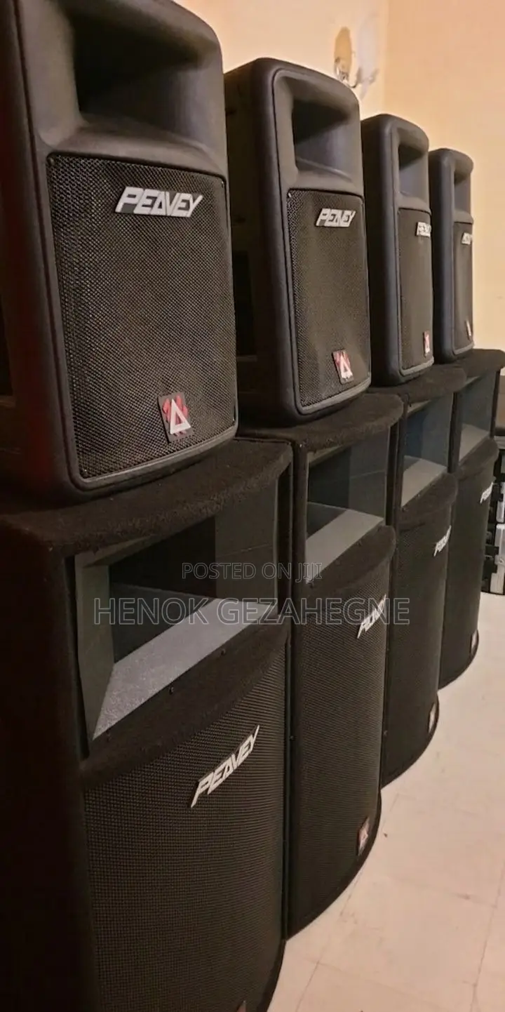 Peavey Speaker