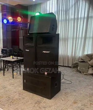 Peavey Speaker