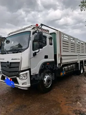 Foton Auman