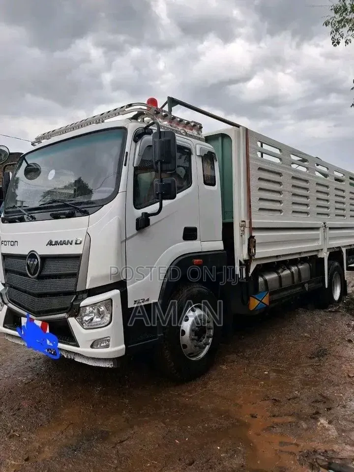 Foton Auman