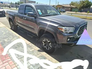 Toyota Tacoma 2018 Gray