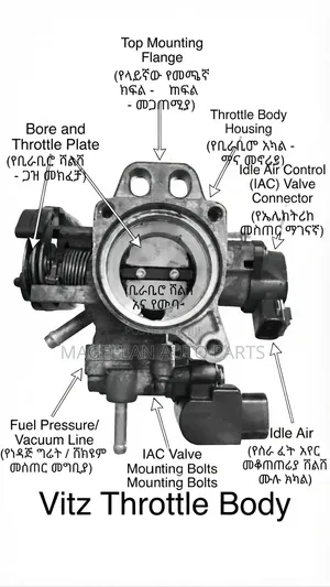 Magellan Auto Parts