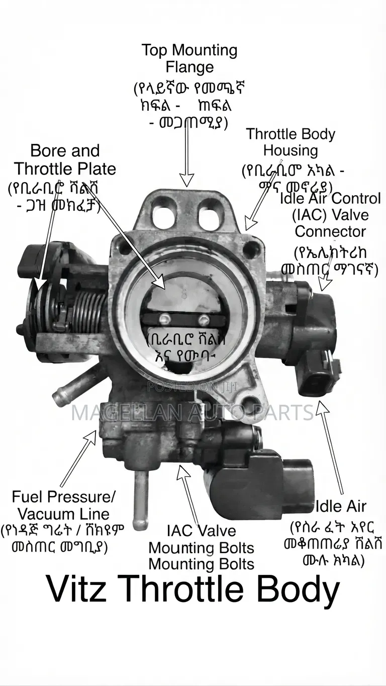Magellan Auto Parts
