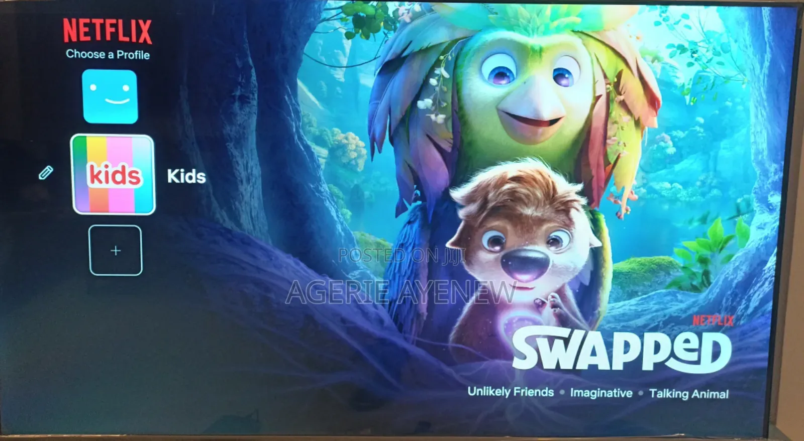 Netflix Premium Subscription ኔት ፍሊክስ የቴሌቪዥን መዝናኛ ወርሃዊ ግዥ