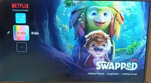 Netflix Premium Subscription ኔት ፍሊክስ የቴሌቪዥን መዝናኛ ወርሃዊ ግዥ