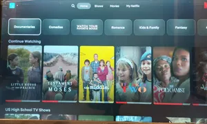 Netflix Premium Subscription ኔት ፍሊክስ የቴሌቪዥን መዝናኛ ወርሃዊ ግዥ