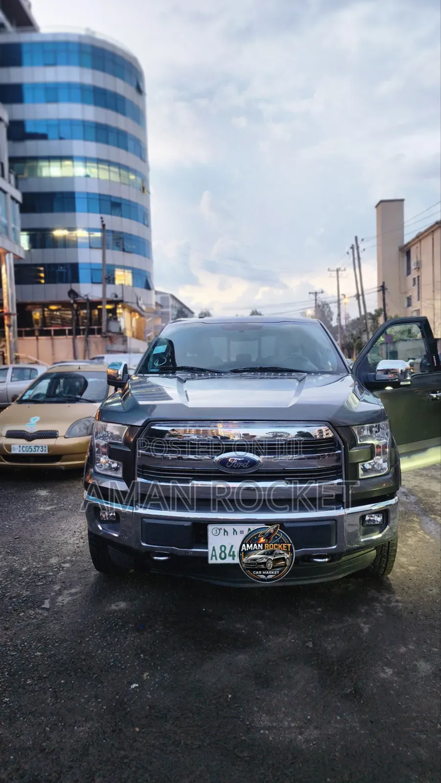 Ford F-150 2015 Gray