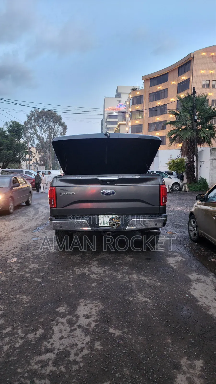 Ford F-150 2015 Gray