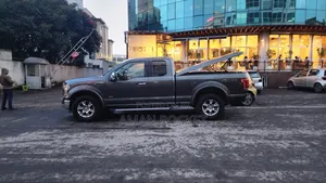Ford F-150 2015 Gray