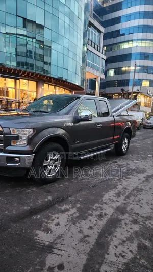 Ford F-150 2015 Gray