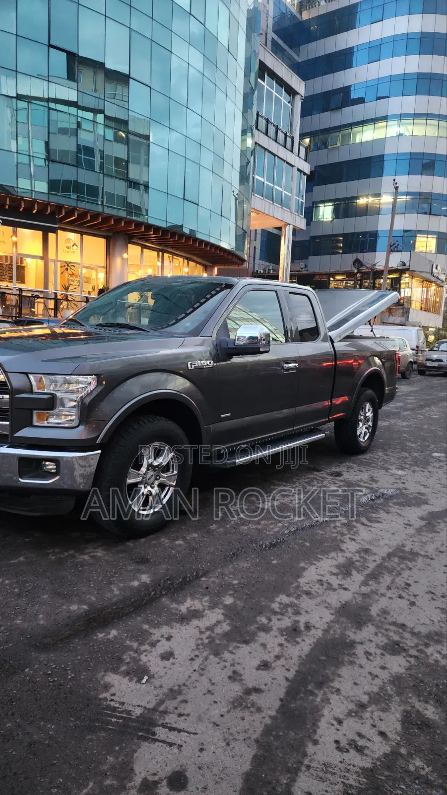 Ford F-150 2015 Gray