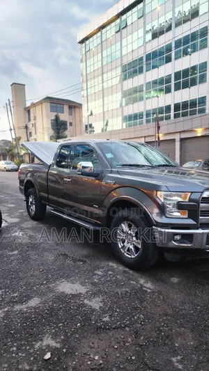 Ford F-150 2015 Gray