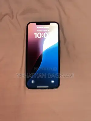 Apple iPhone 12 Pro Max 512 GB Blue