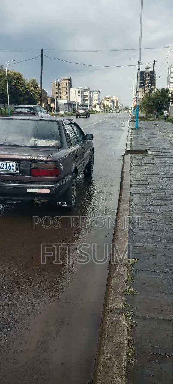 Toyota Corolla 1991 Brown