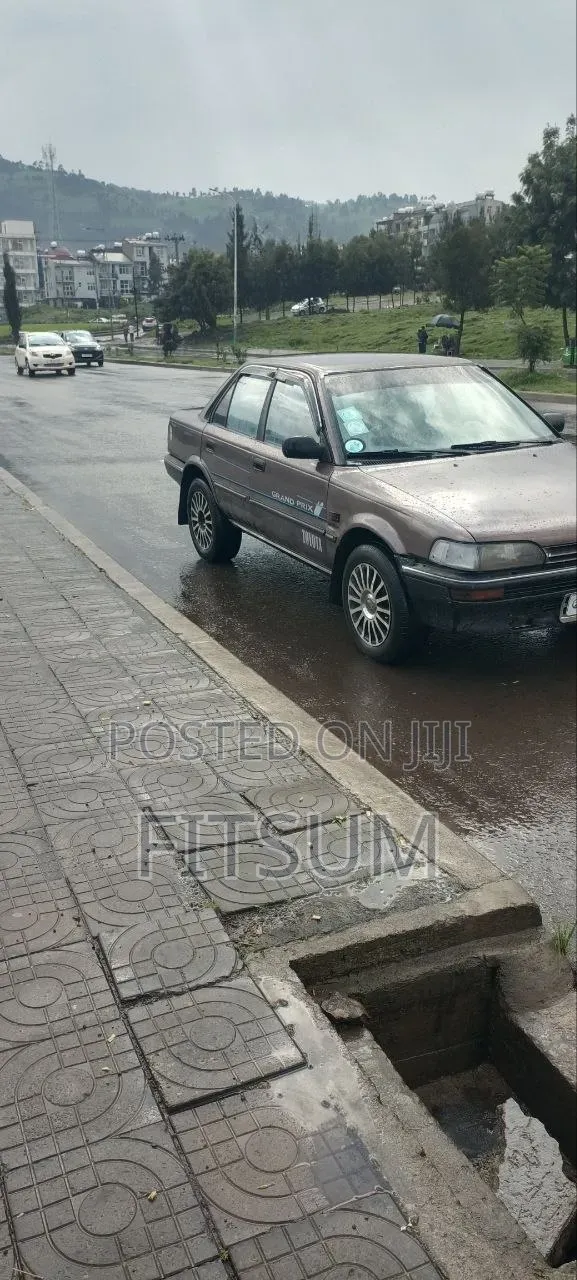 Toyota Corolla 1991 Brown