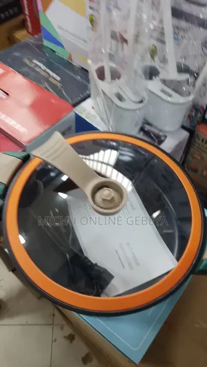 Micro Pressure Electric Boiler ዘመናዊ 28Cm የኤሌክትሪክ ድስት / Free Delivery