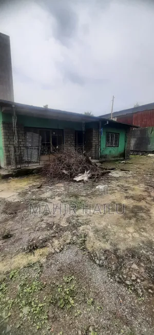 House Rent to Garage ,Car Wesh ,Work Shop