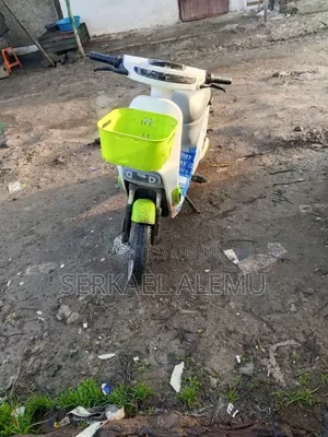 New Atul Gem Cargo 2025 White