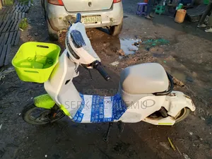 New Atul Gem Cargo 2025 White
