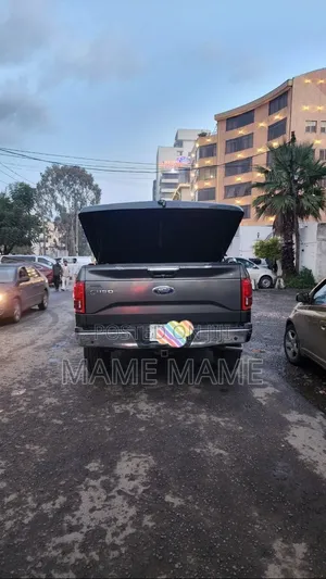 Ford F-150 2015 Gray