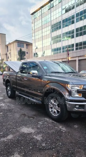 Ford F-150 2015 Gray